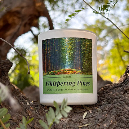 Whispering Pines- White Tea, Sage & Patchouli Soy Wax Scented Candle