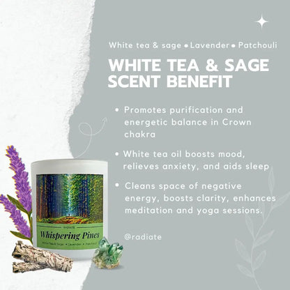 Whispering Pines- White Tea, Sage & Patchouli Soy Wax Scented Candle