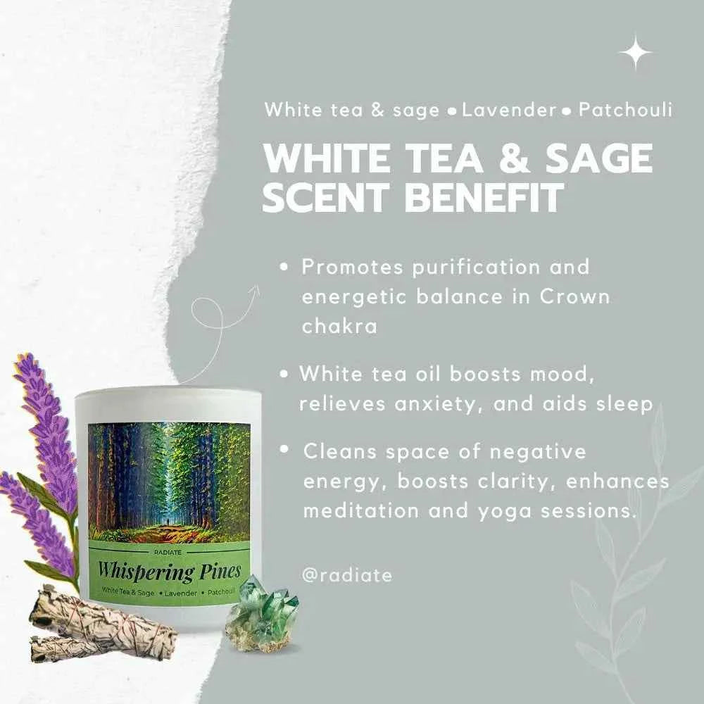 Whispering Pines- White Tea, Sage & Patchouli Soy Wax Scented Candle