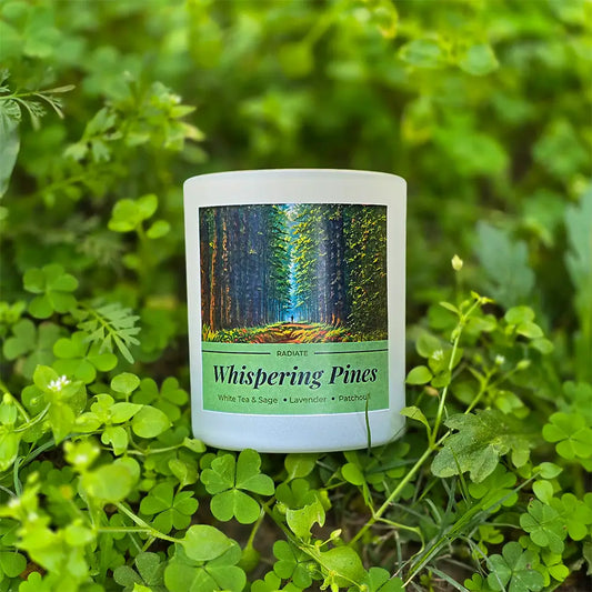 Radiate's Whispering pines scented candle on on a bed of fresh green leaves. Infused with woody floral aroma of White tea and sage, Lavender and Patchouli. 
